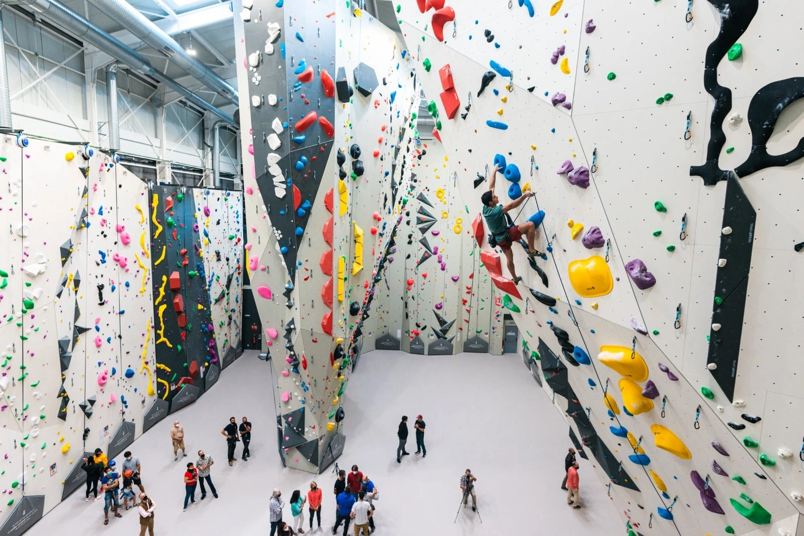 Walltopia Climbing & Adventure, experience reference