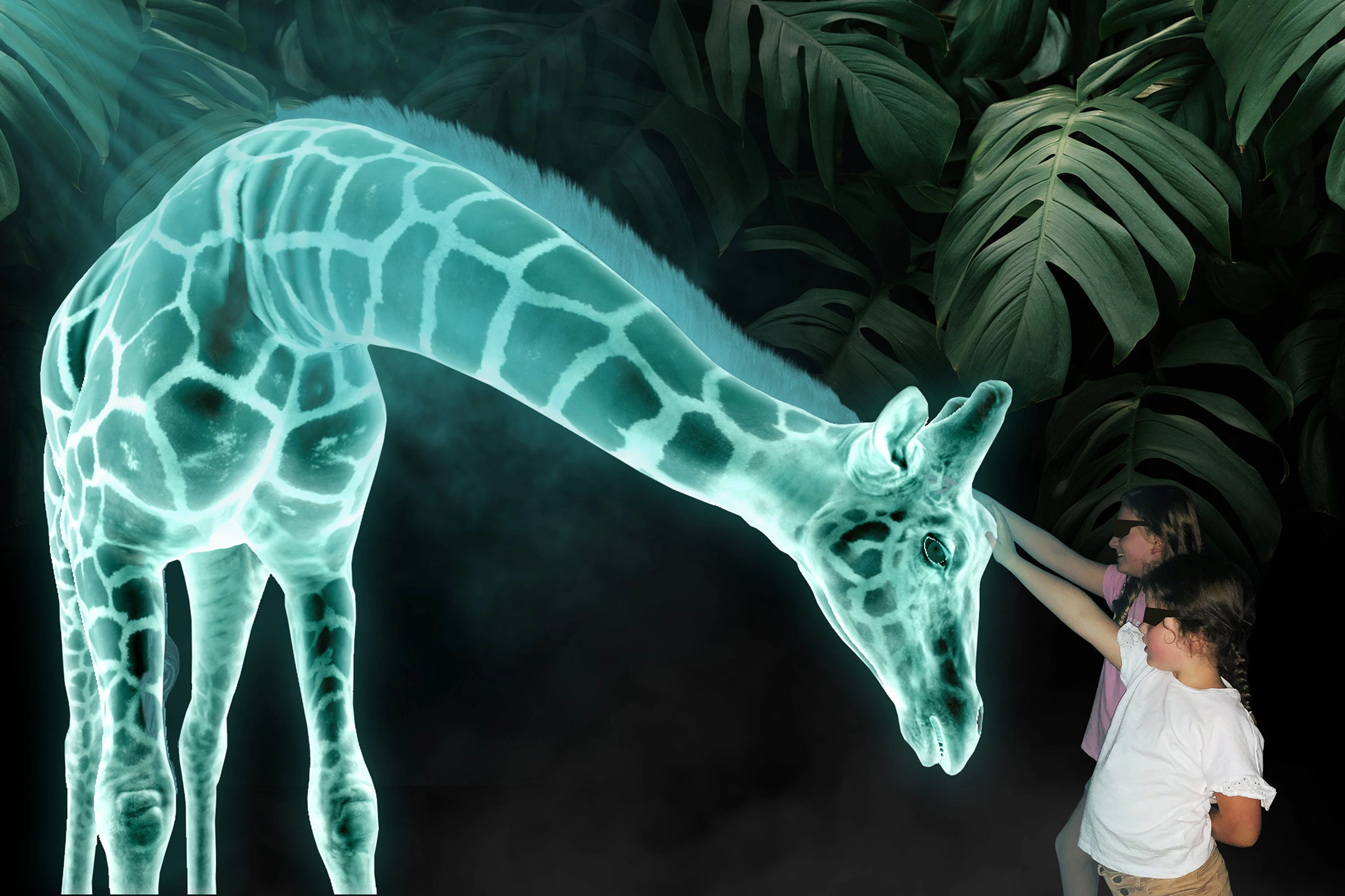 Holographic Zoo, experience reference
